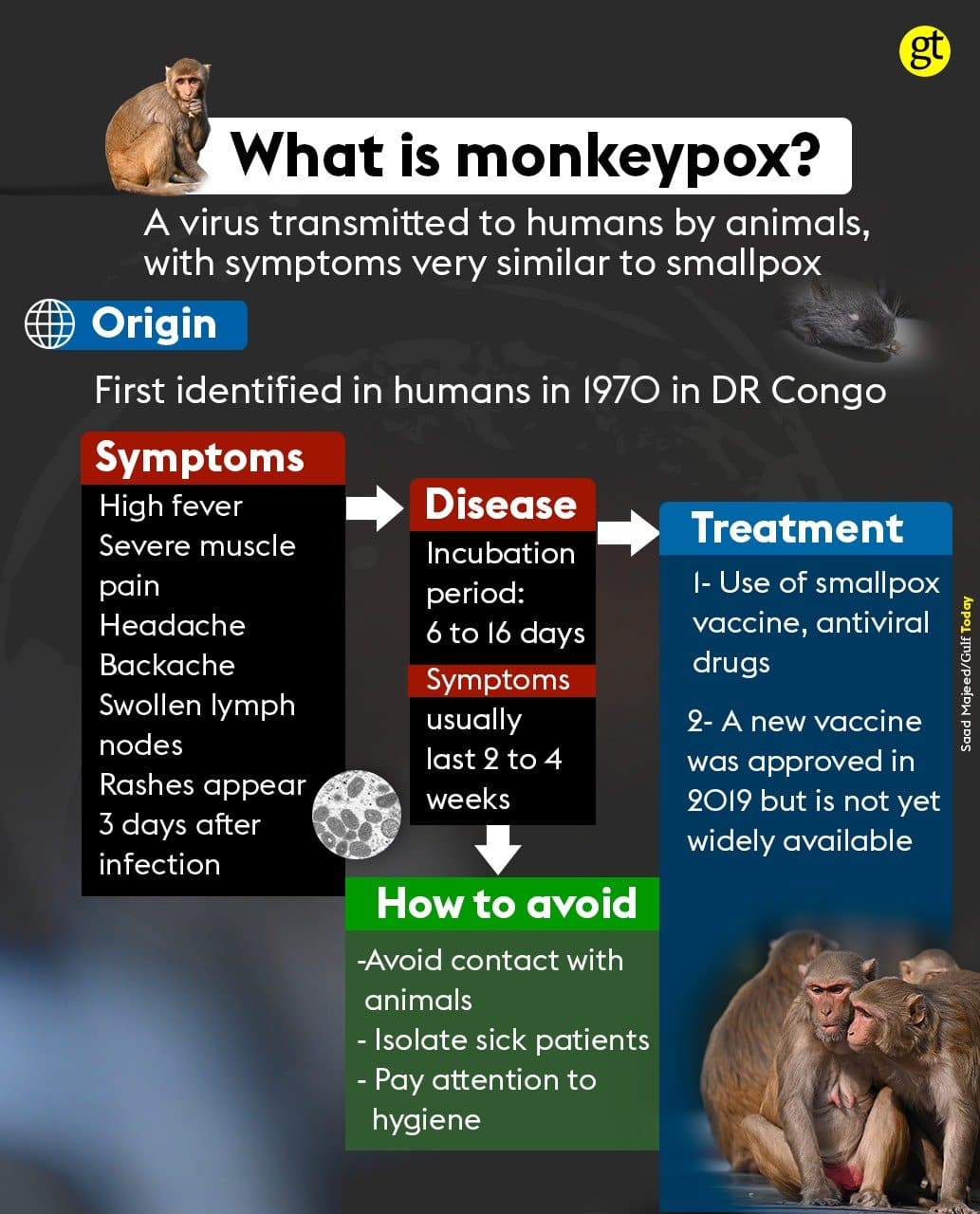 What is Monkeypox Virus?